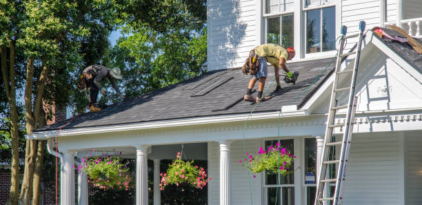 Best Roof Gutter Cleaning  in Shawneeland, VA
